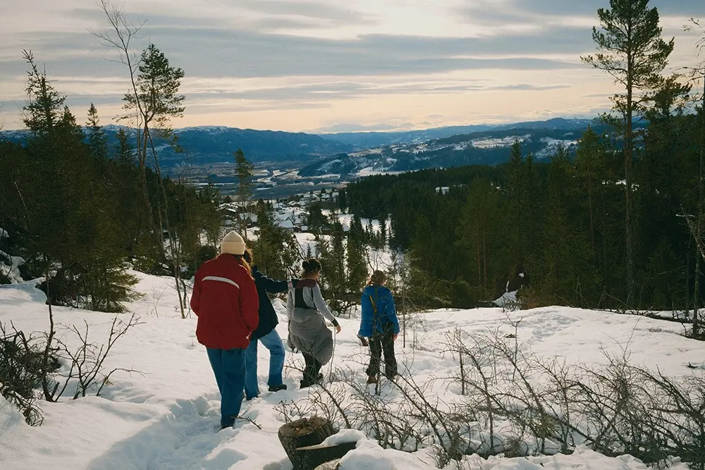 maenniskor-som-gaar-ner-foer-en-brant-i-fjaellvaerlden